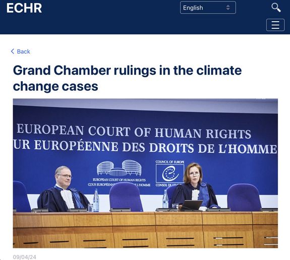 Screenshot Europäischer Gerichtshof für Menschenrechte.