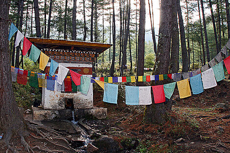 Gebetsfahnen in Bhutan