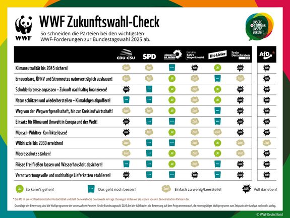 Tabelle zeigt Ambitionen der Wahlprogramme der Parteien in der Umwelt- und Klimapolitik zur Bundestagswahl 2025