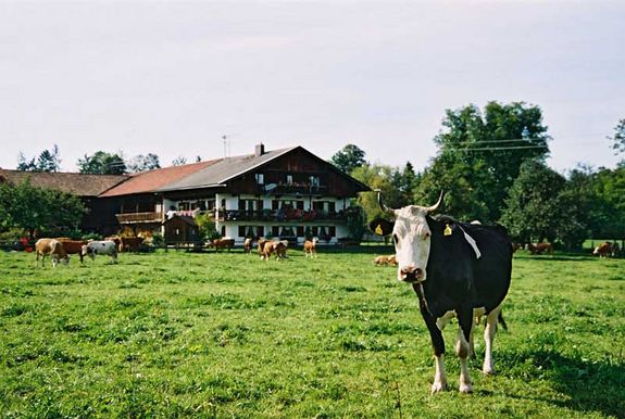 Das richtige Wachstum zur richtigen Zeit