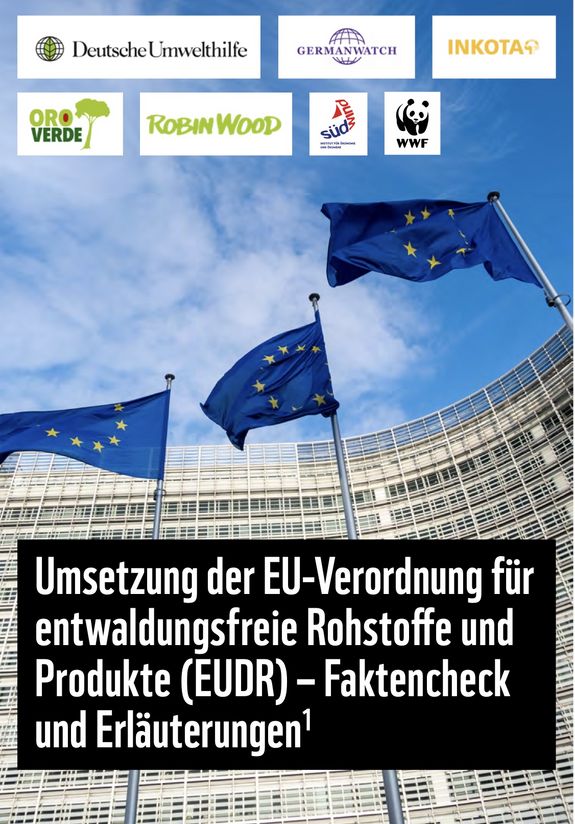 Titelbild des Faktenchecks zeigt Flaggen vor EU-Parlament