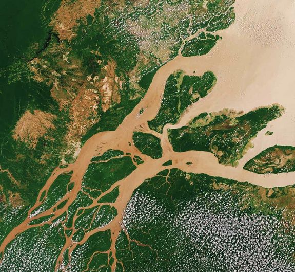 Luftbild des Amazonas in Trockenzeit 2017