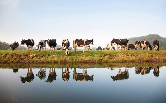 Mit Bio das Wasser schützen