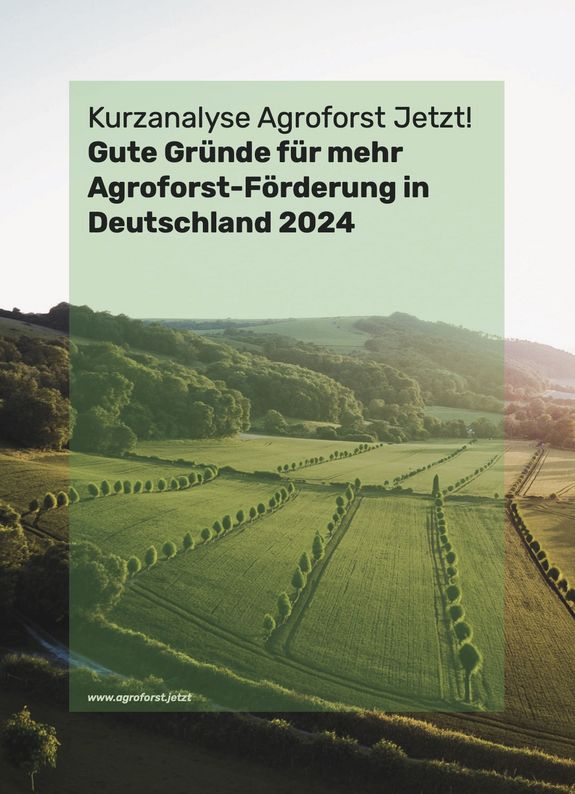 Titel des Positionspapiers "Agroforst Jetzt!" mit Bild einer Ackerbaufläche mit Gehölzhecken