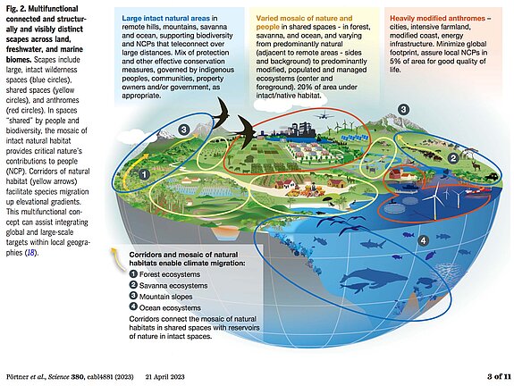 Grafik verteilter Naturräume mit Korridoren zur Erholung von Klima und Arten.