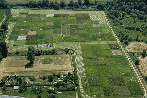 Luftbild verschiedener Pflanzentestfelder im Jena Experiment.
