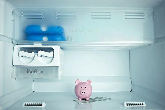 Blick auf ein Sparschwein im Kühlschrank