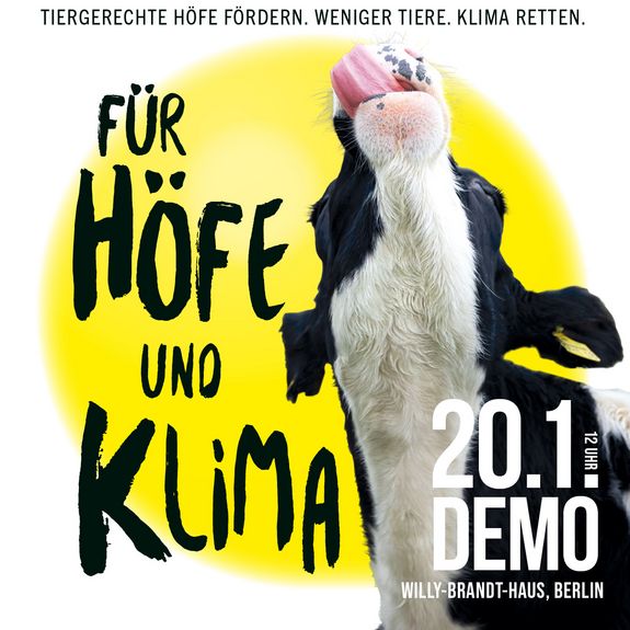 Banner der WHES24-Demo