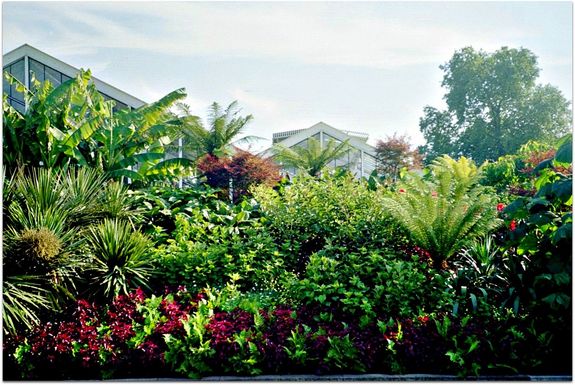 Biodiversität in Kew Gardens, England